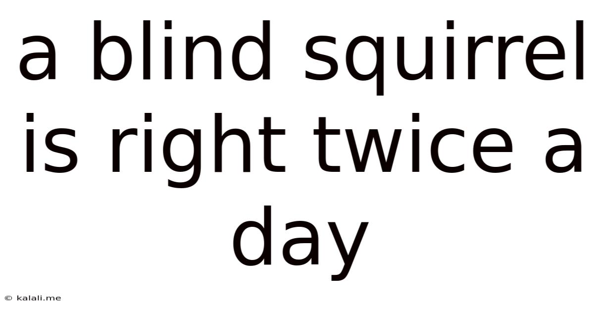 A Blind Squirrel Is Right Twice A Day