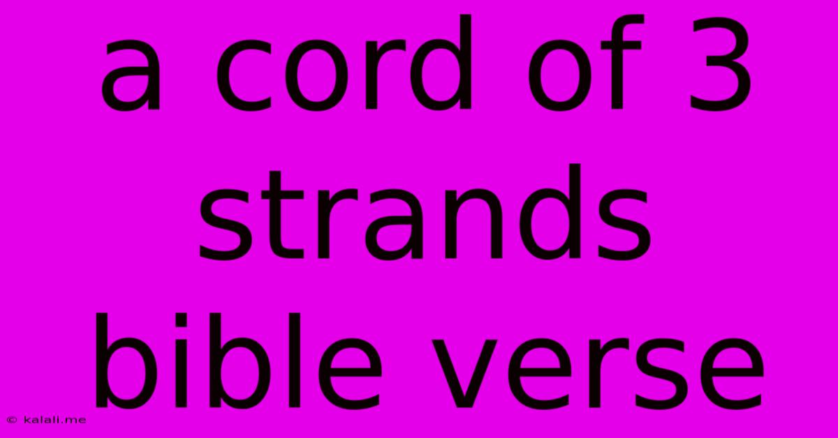 A Cord Of 3 Strands Bible Verse