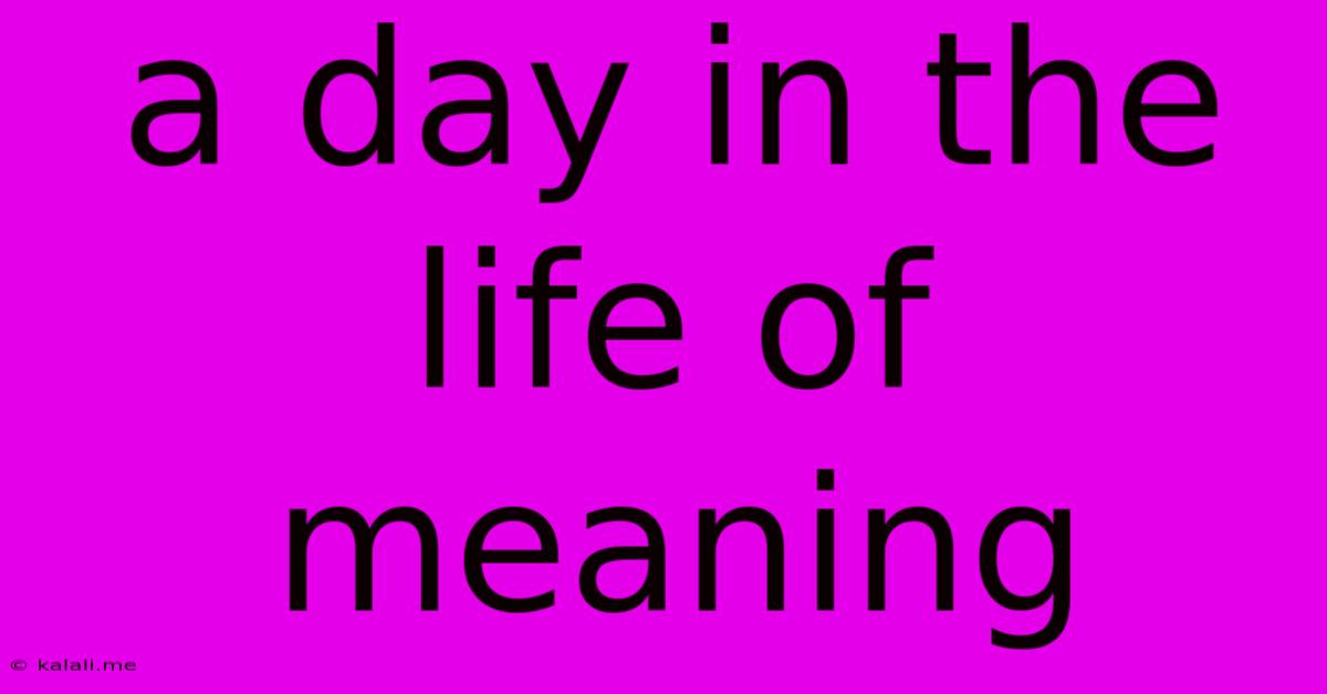 A Day In The Life Of Meaning