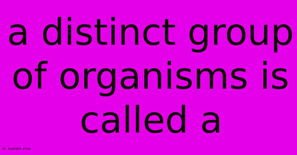 A Distinct Group Of Organisms Is Called A