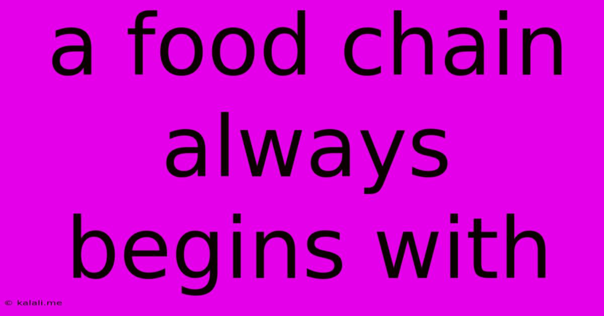 A Food Chain Always Begins With