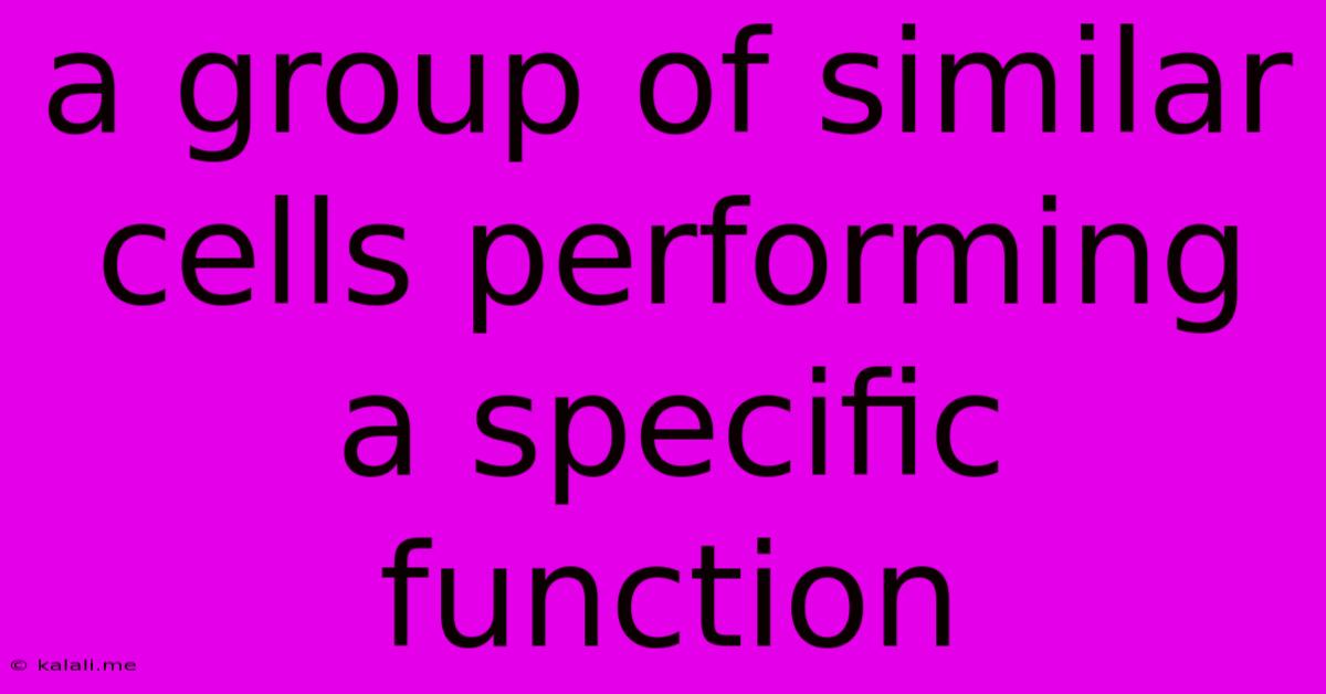 A Group Of Similar Cells Performing A Specific Function