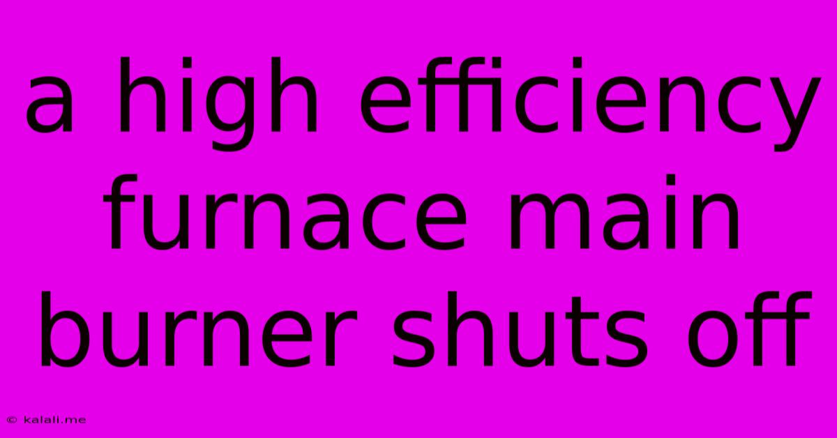 A High Efficiency Furnace Main Burner Shuts Off