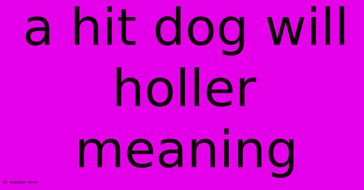 A Hit Dog Will Holler Meaning
