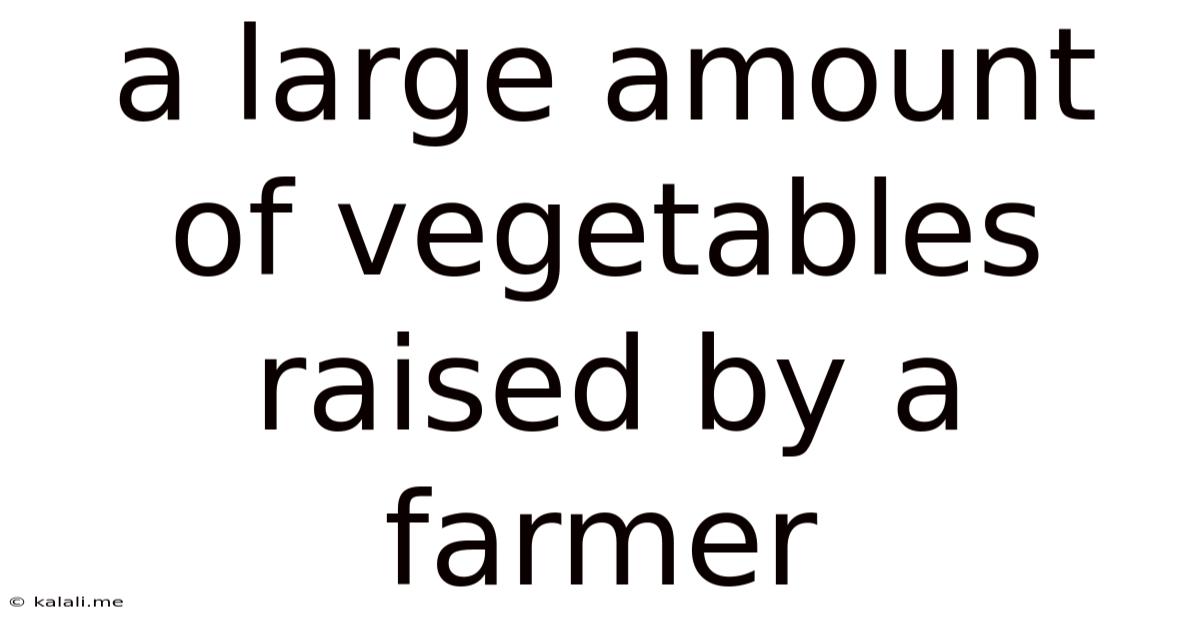 A Large Amount Of Vegetables Raised By A Farmer