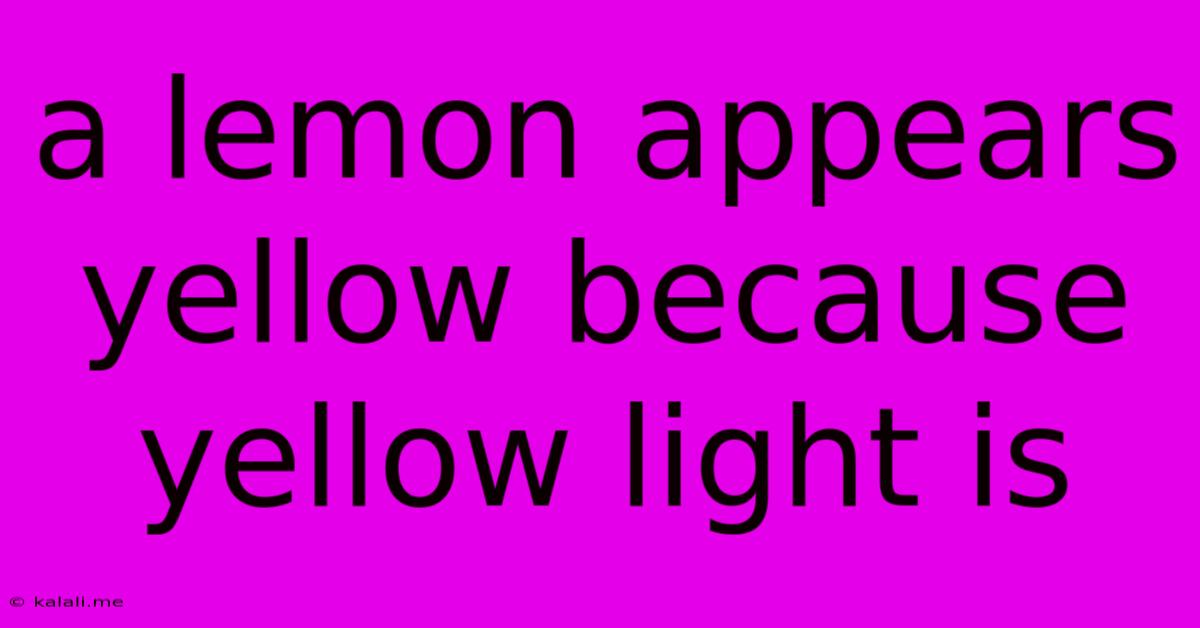 A Lemon Appears Yellow Because Yellow Light Is