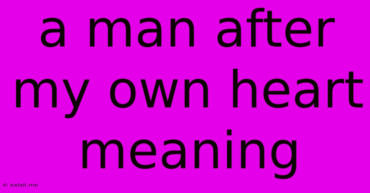 A Man After My Own Heart Meaning