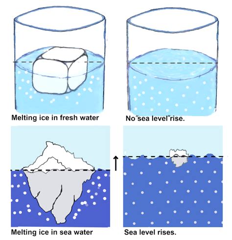 A Piece Of Ice Melts And Reacts With Sodium.