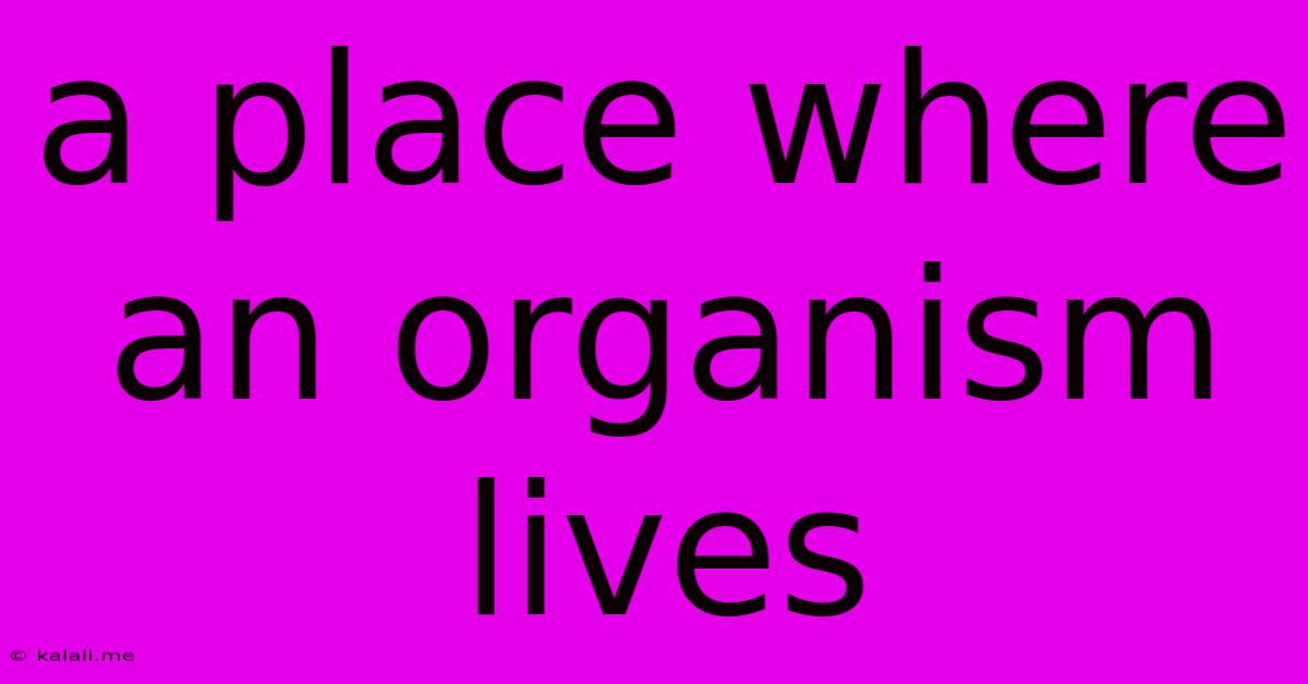 A Place Where An Organism Lives