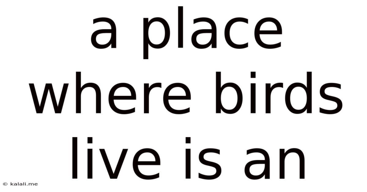 A Place Where Birds Live Is An