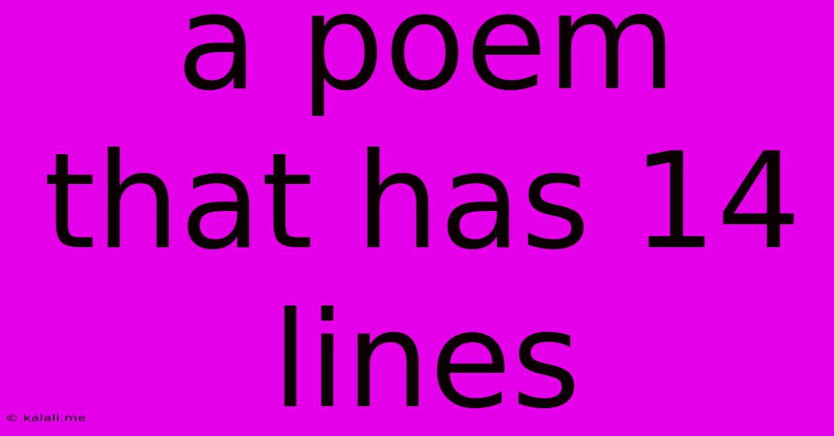 A Poem That Has 14 Lines