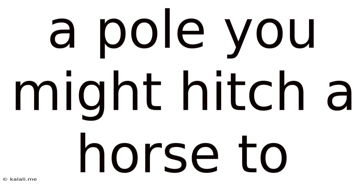 A Pole You Might Hitch A Horse To