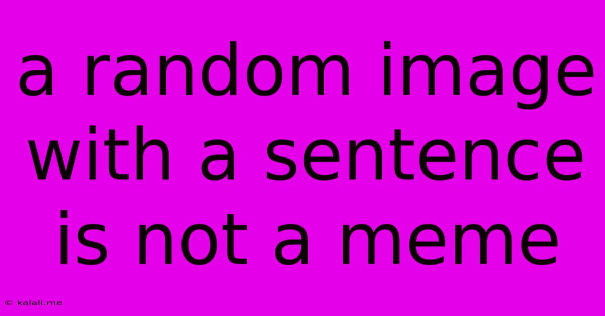 A Random Image With A Sentence Is Not A Meme