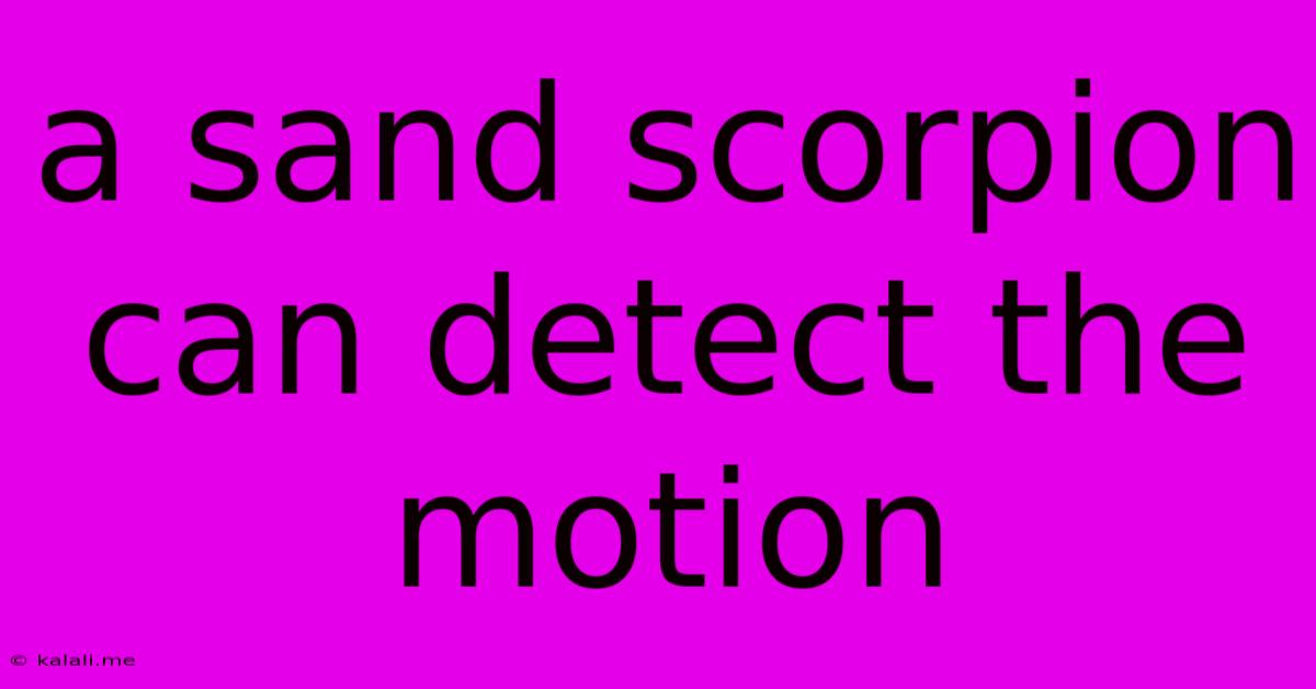 A Sand Scorpion Can Detect The Motion
