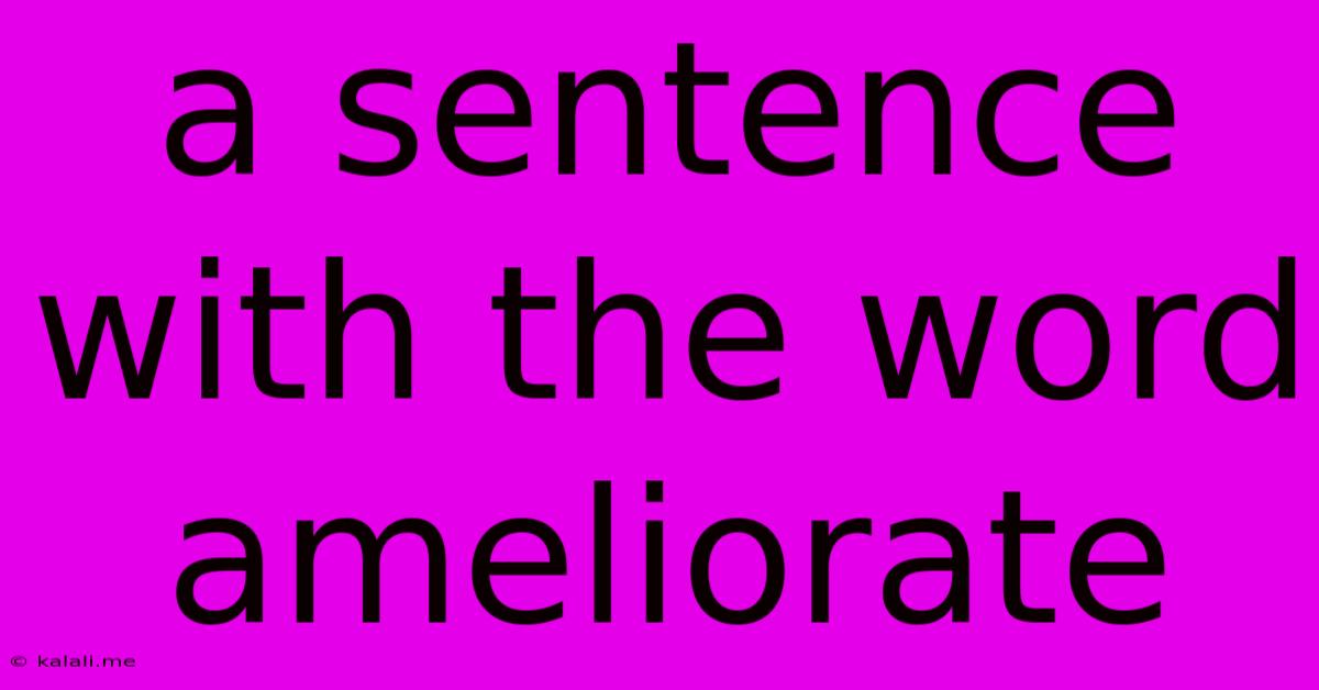 A Sentence With The Word Ameliorate