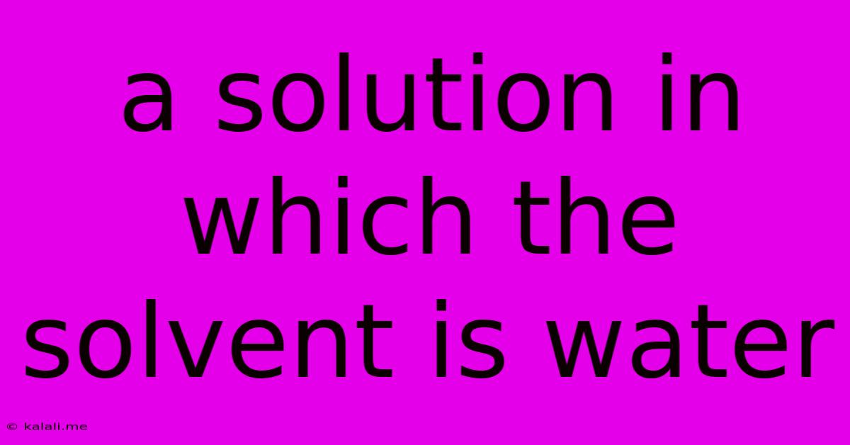 A Solution In Which The Solvent Is Water