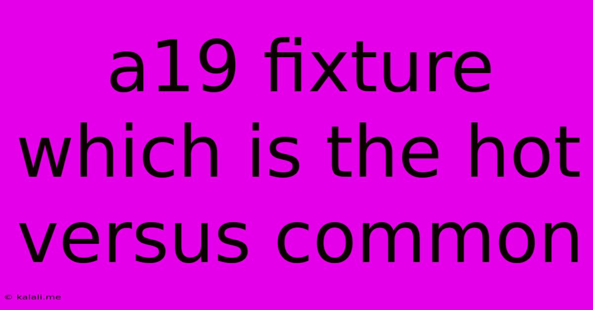 A19 Fixture Which Is The Hot Versus Common