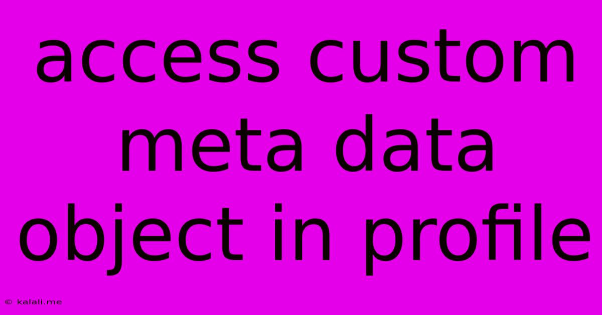 Access Custom Meta Data Object In Profile