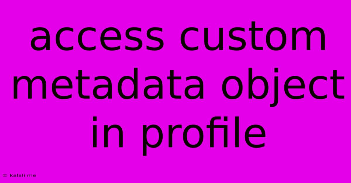Access Custom Metadata Object In Profile