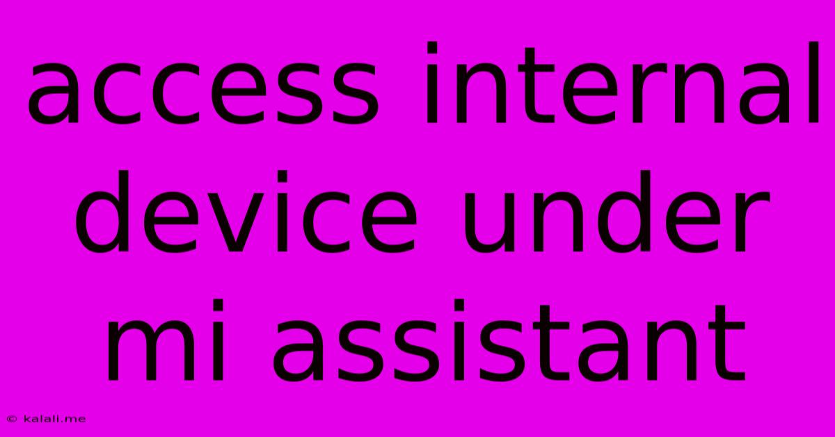 Access Internal Device Under Mi Assistant