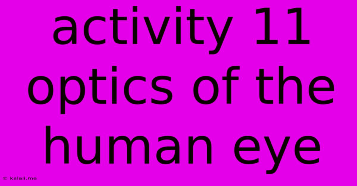 Activity 11 Optics Of The Human Eye