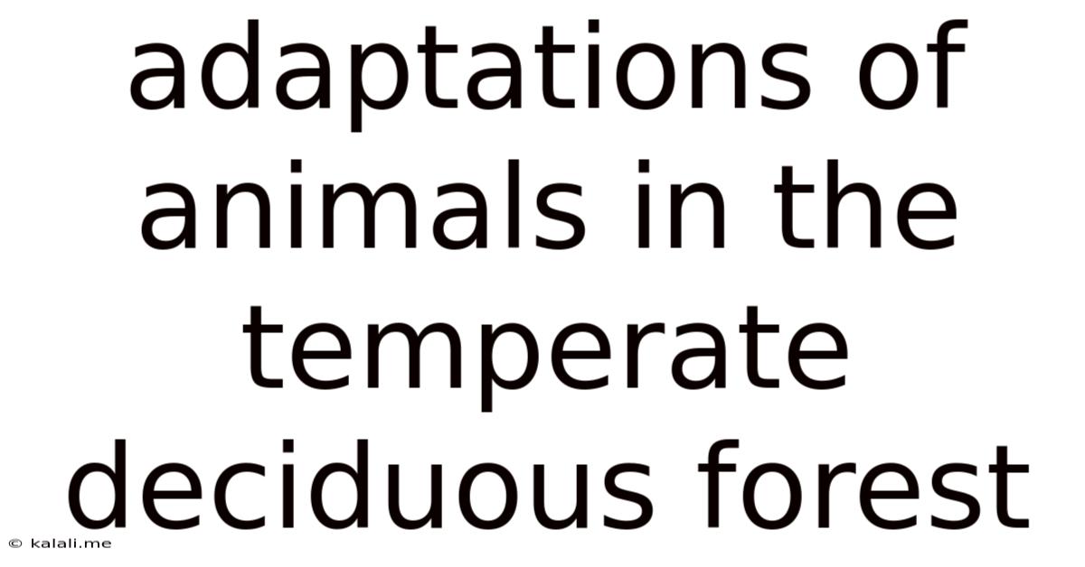 Adaptations Of Animals In The Temperate Deciduous Forest