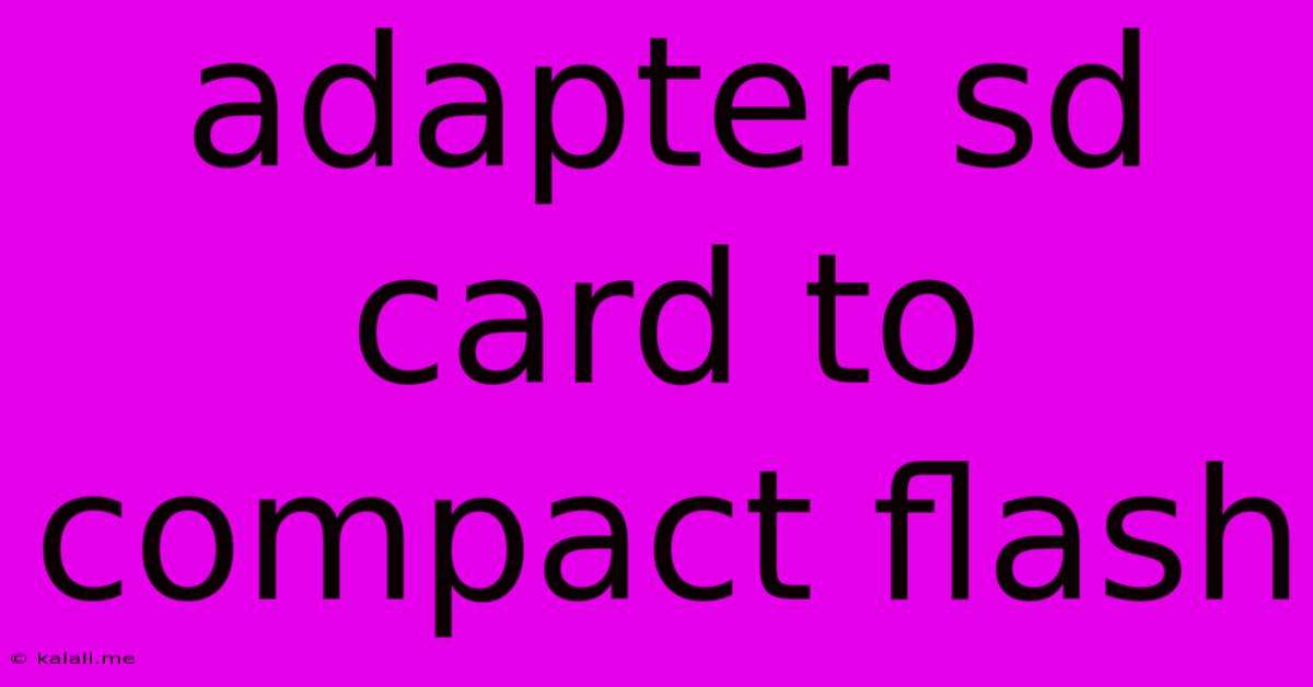 Adapter Sd Card To Compact Flash