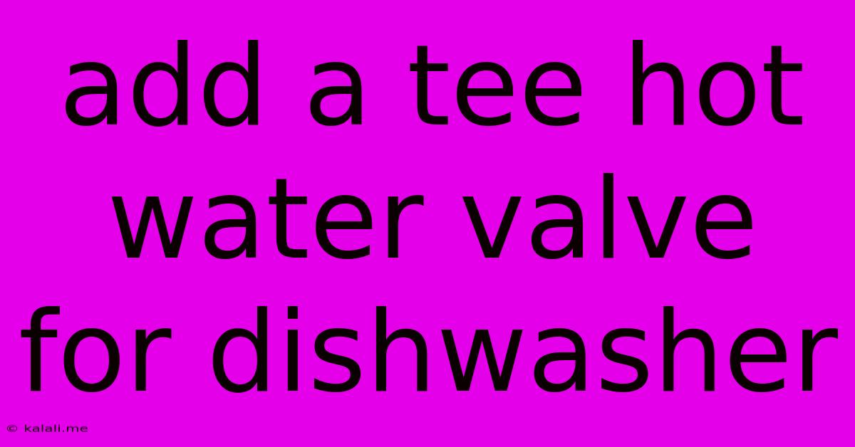 Add A Tee Hot Water Valve For Dishwasher