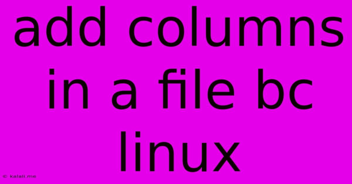 Add Columns In A File Bc Linux