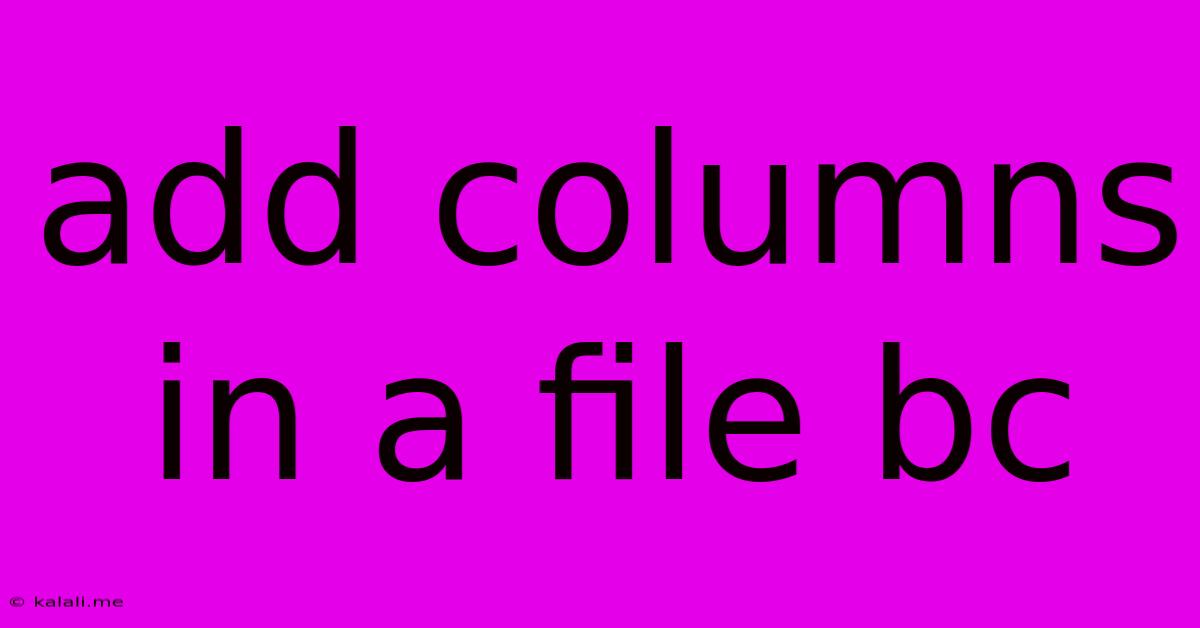 Add Columns In A File Bc