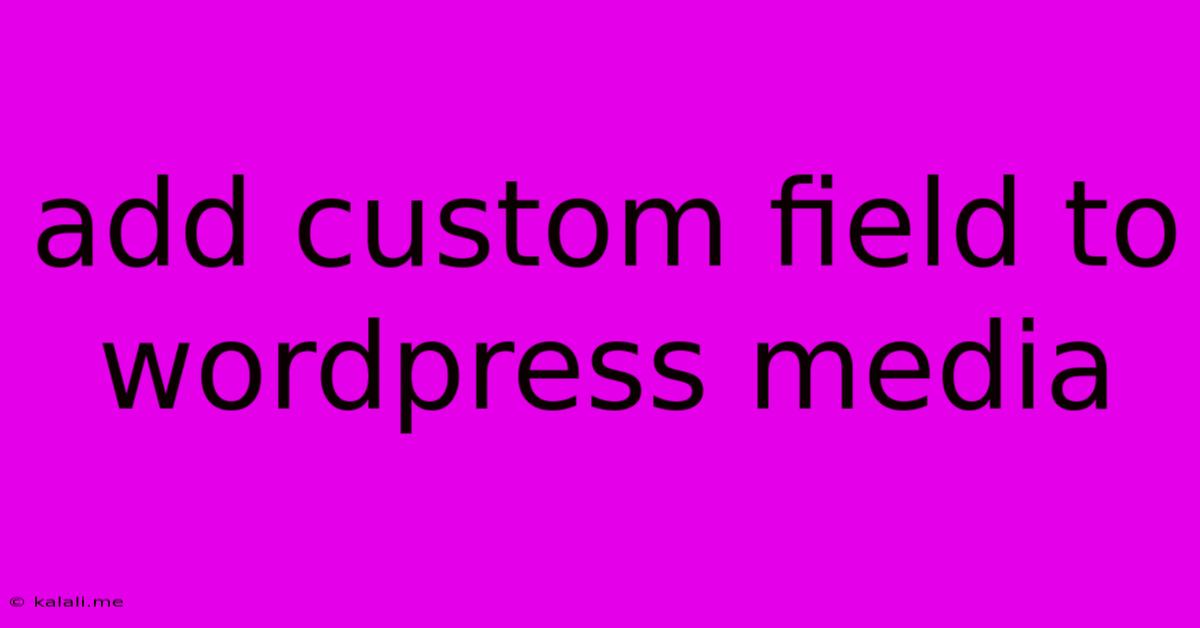 Add Custom Field To Wordpress Media