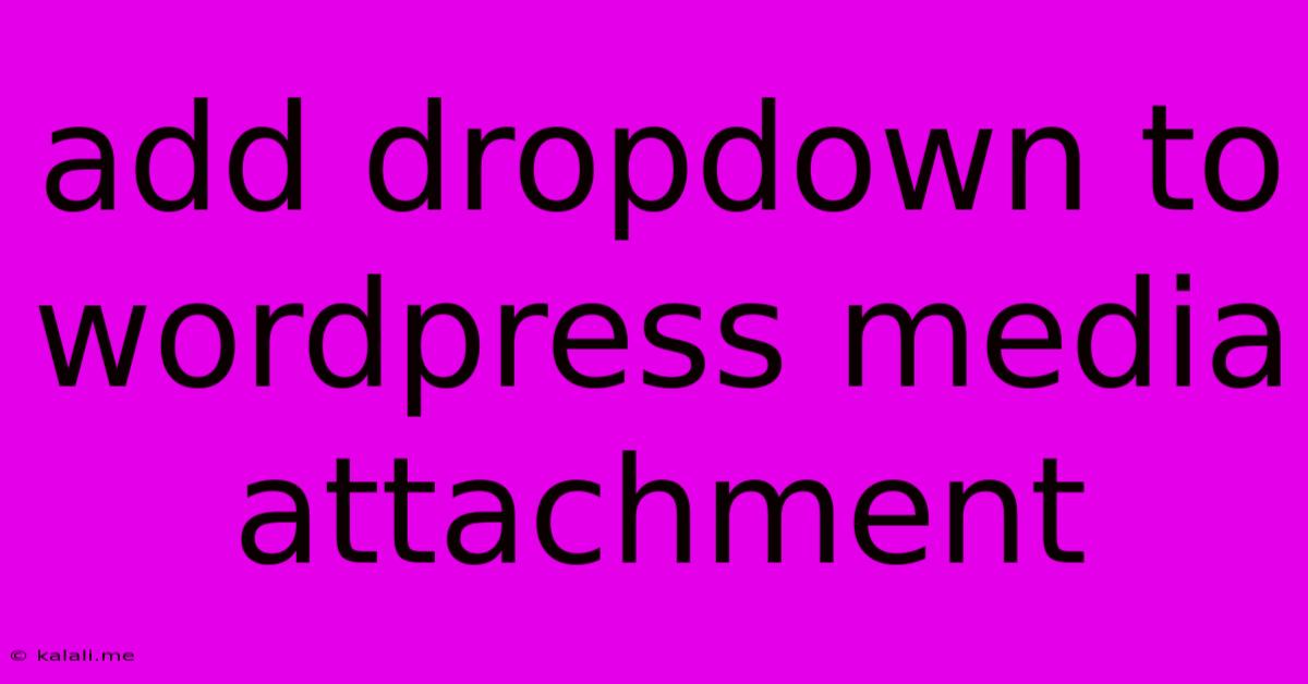 Add Dropdown To Wordpress Media Attachment