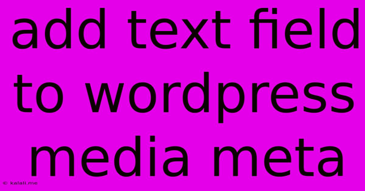 Add Text Field To Wordpress Media Meta