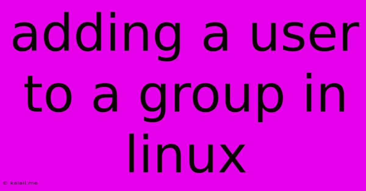 Adding A User To A Group In Linux