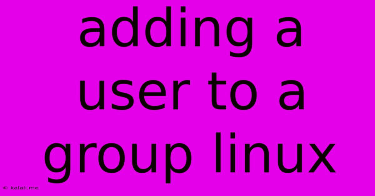 Adding A User To A Group Linux