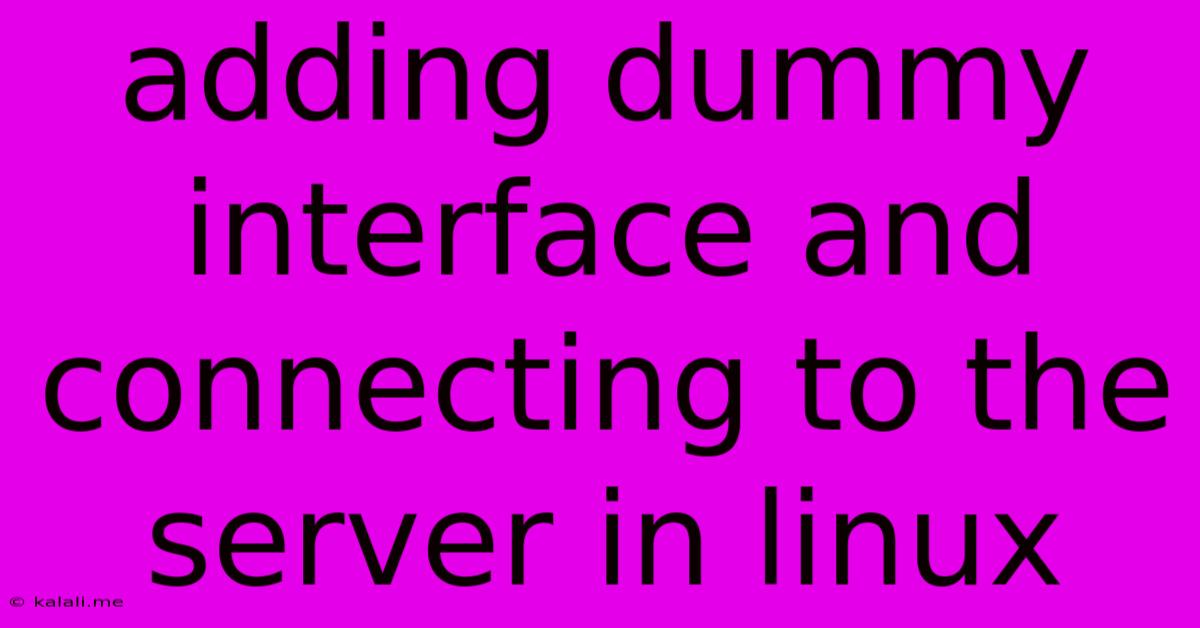 Adding Dummy Interface And Connecting To The Server In Linux
