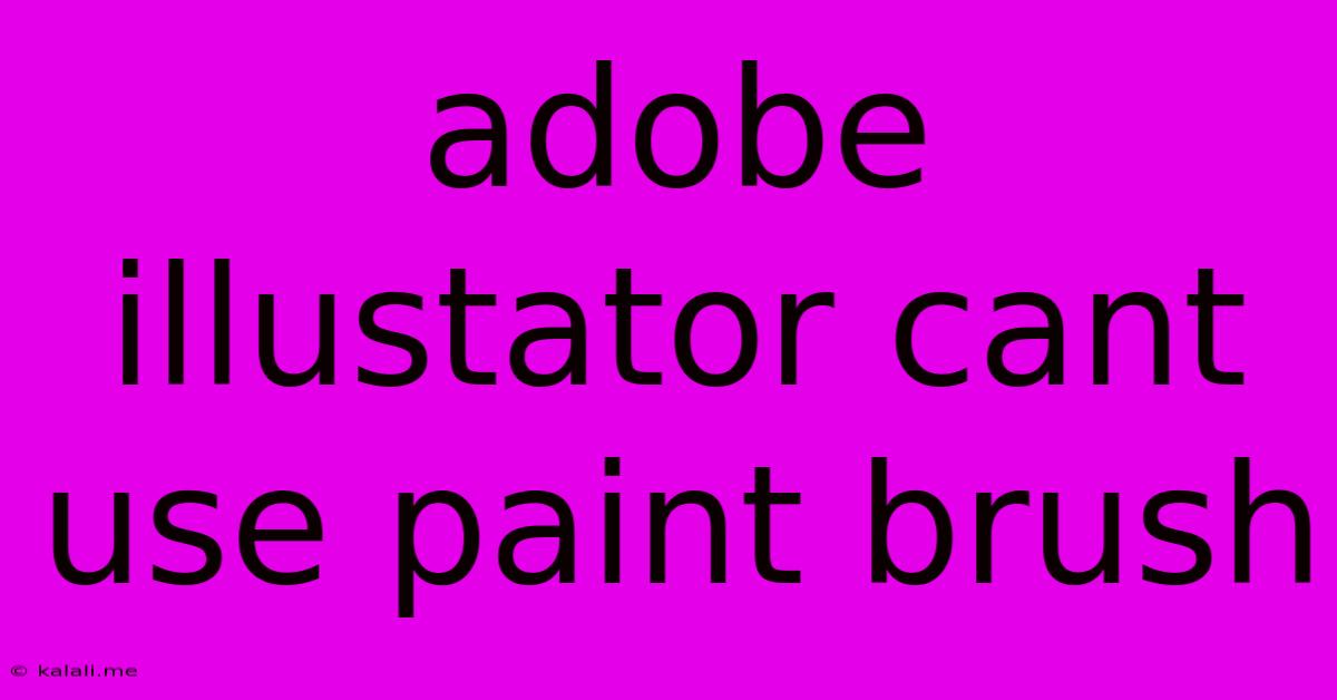 Adobe Illustator Cant Use Paint Brush