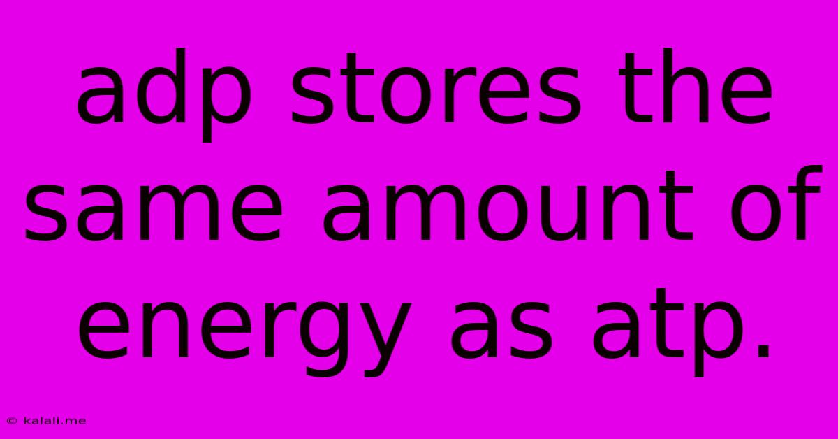 Adp Stores The Same Amount Of Energy As Atp.