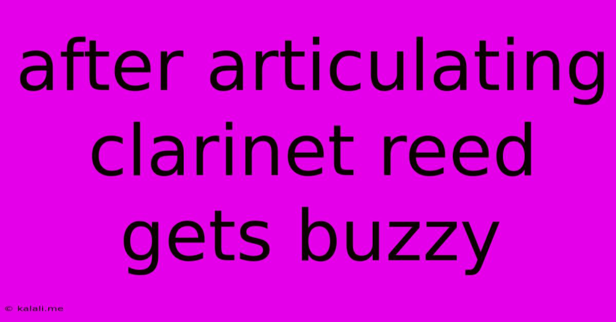 After Articulating Clarinet Reed Gets Buzzy