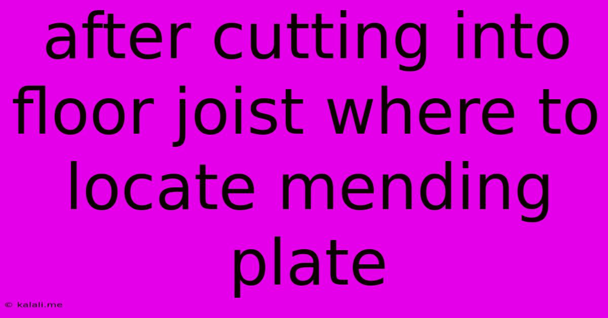 After Cutting Into Floor Joist Where To Locate Mending Plate