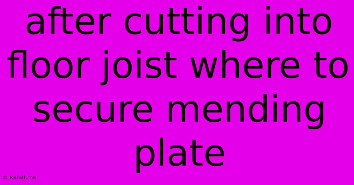 After Cutting Into Floor Joist Where To Secure Mending Plate