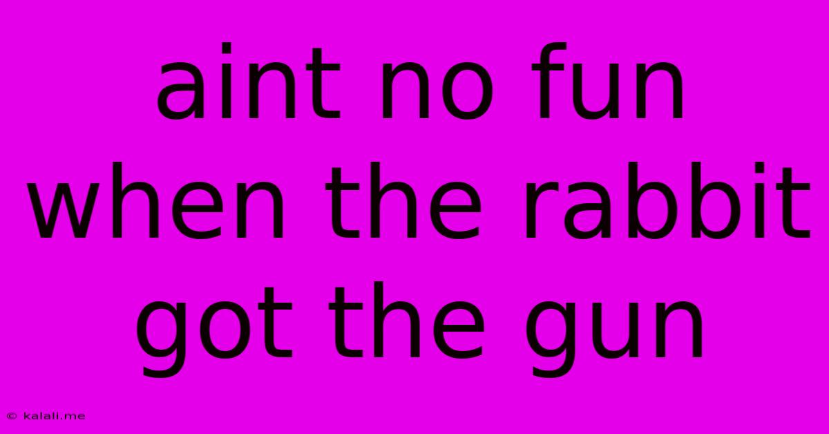 Aint No Fun When The Rabbit Got The Gun