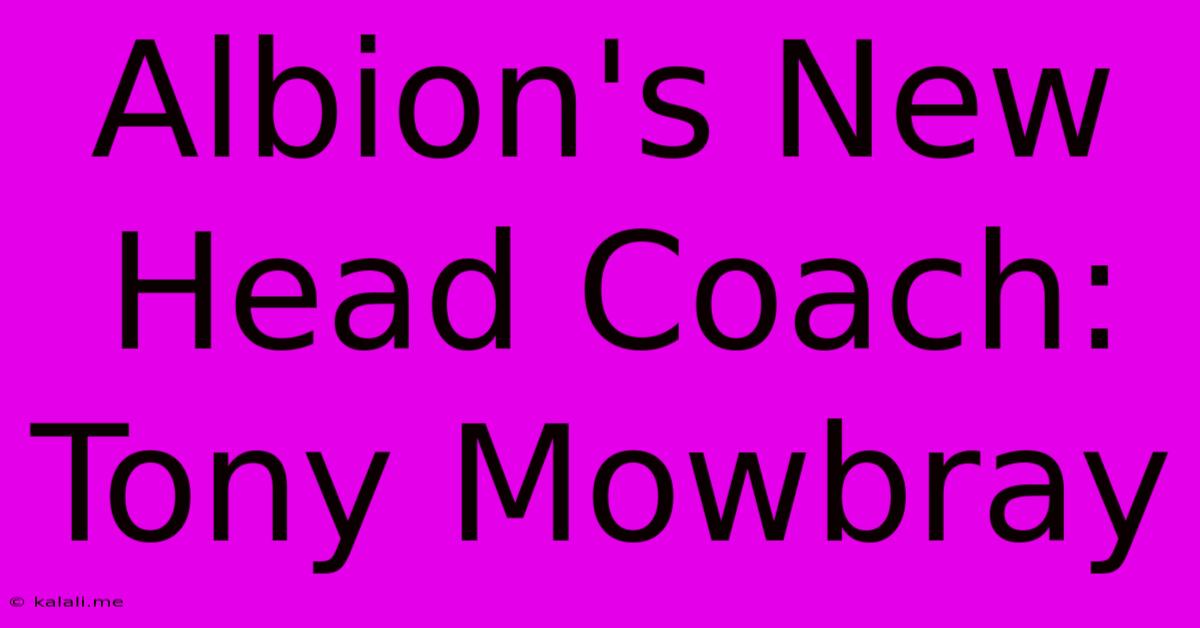 Albion's New Head Coach: Tony Mowbray