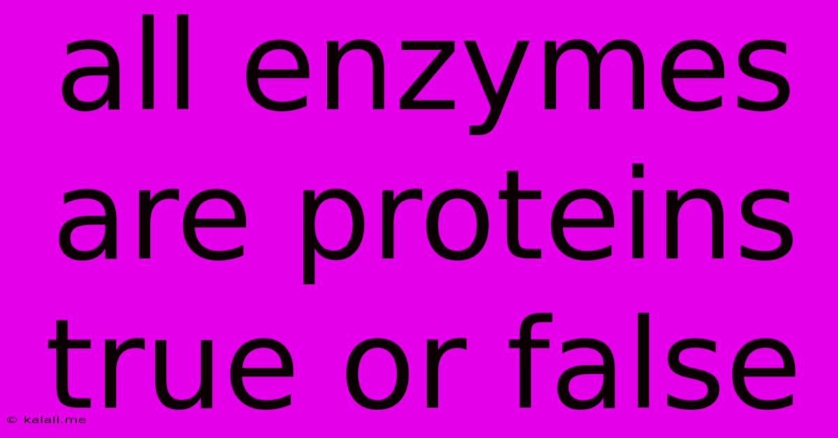 All Enzymes Are Proteins True Or False