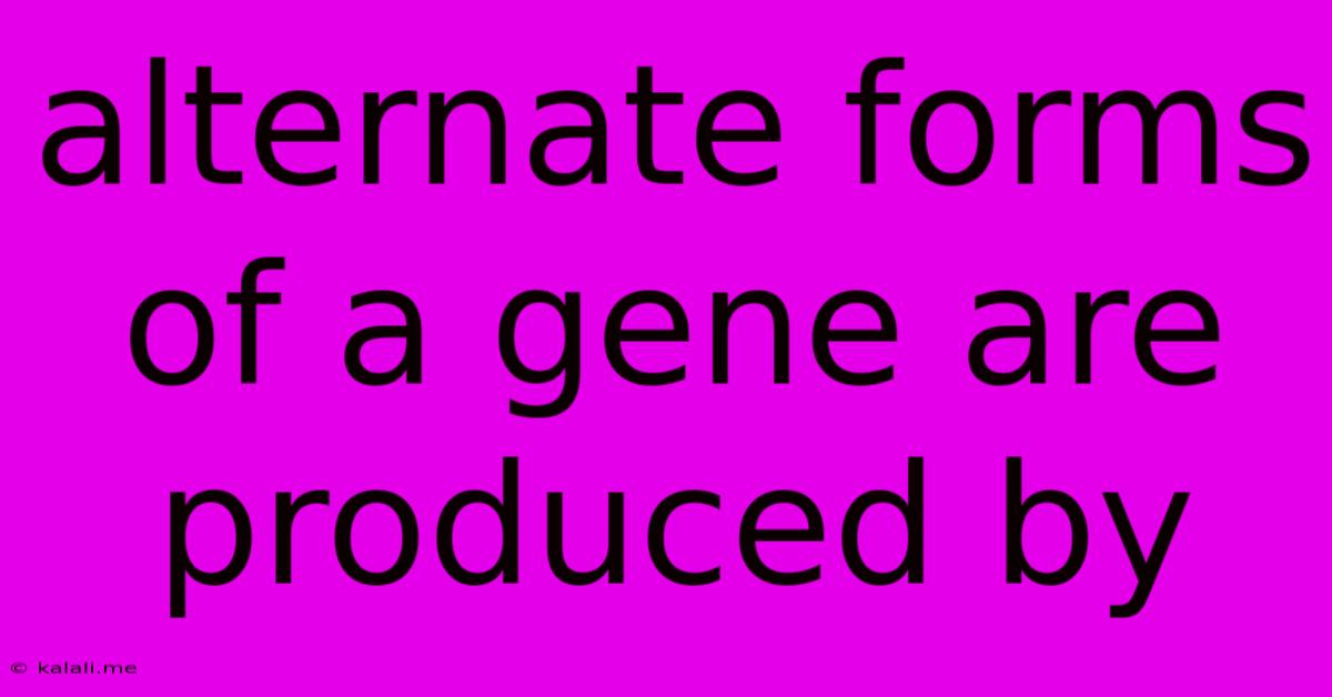 Alternate Forms Of A Gene Are Produced By