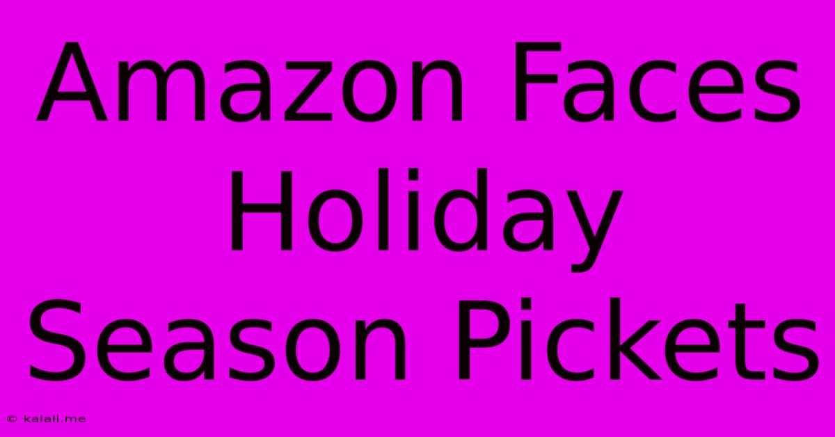 Amazon Faces Holiday Season Pickets