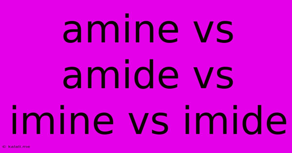 Amine Vs Amide Vs Imine Vs Imide