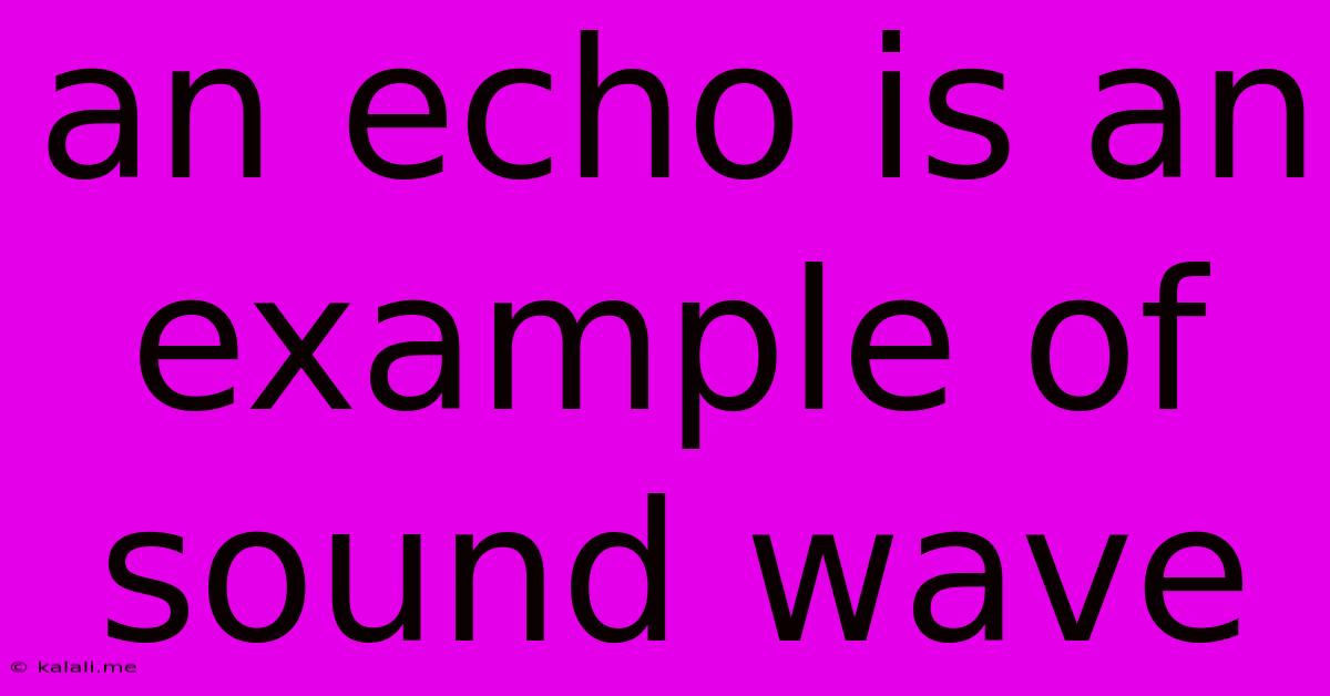An Echo Is An Example Of Sound Wave