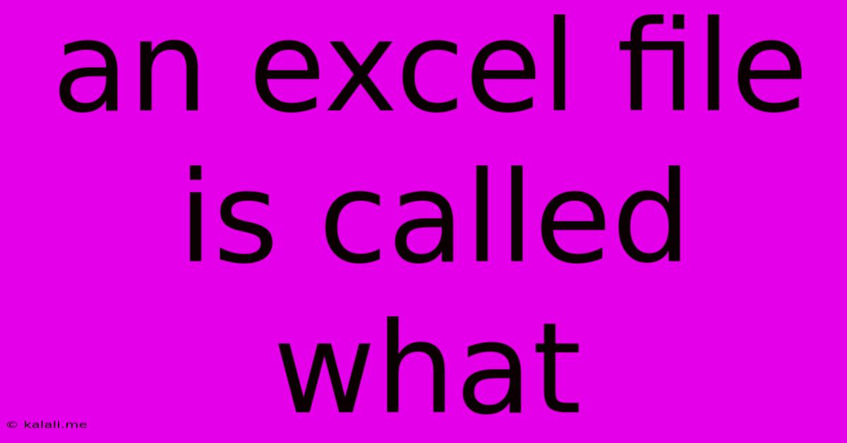 An Excel File Is Called What