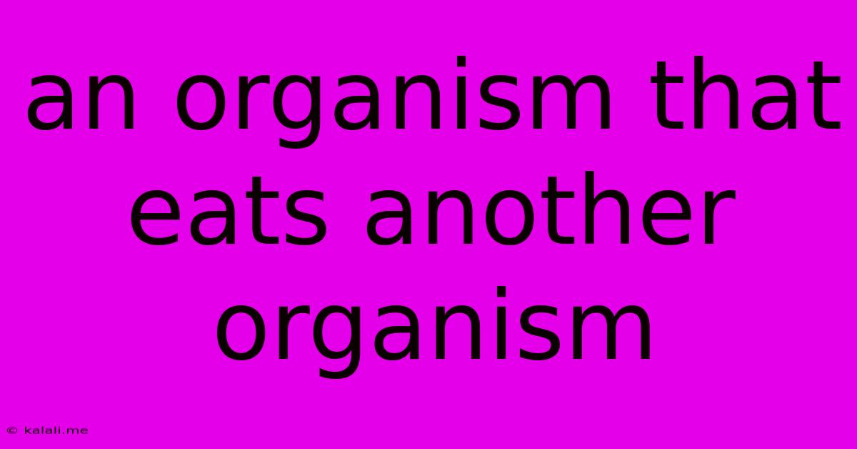 An Organism That Eats Another Organism